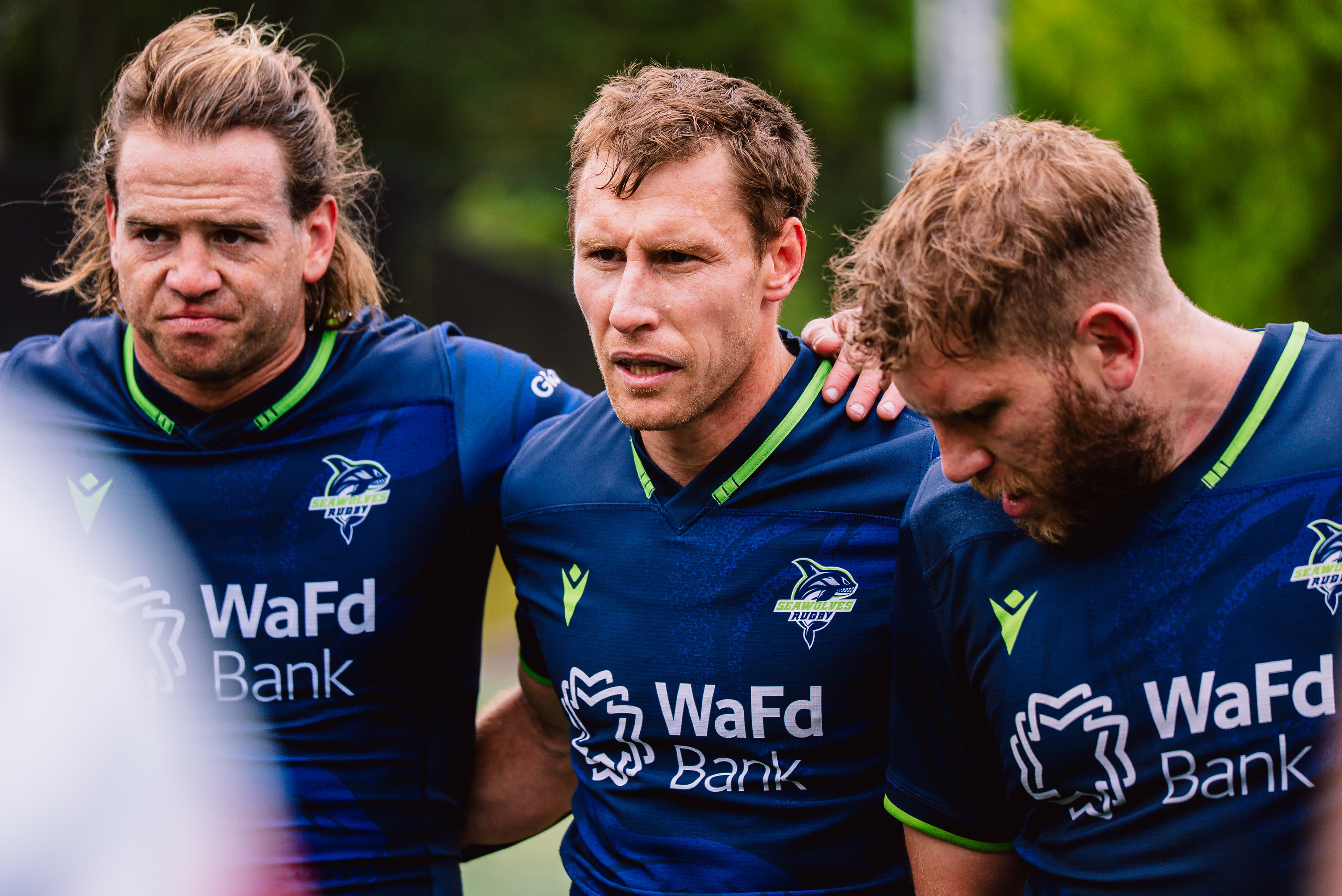 Andre Warner joins DHL Stormers on six-month loan